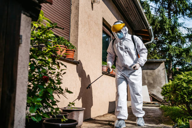 Best Termite Control Services  in Bay Harbor Islands, FL