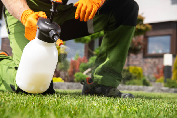 Pest Control for Restaurants in Bay Harbor Islands, FL