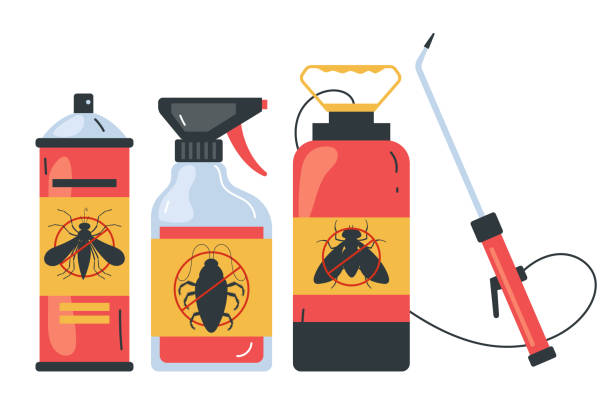 Best Ant Control Services  in Bay Harbor Islands, FL